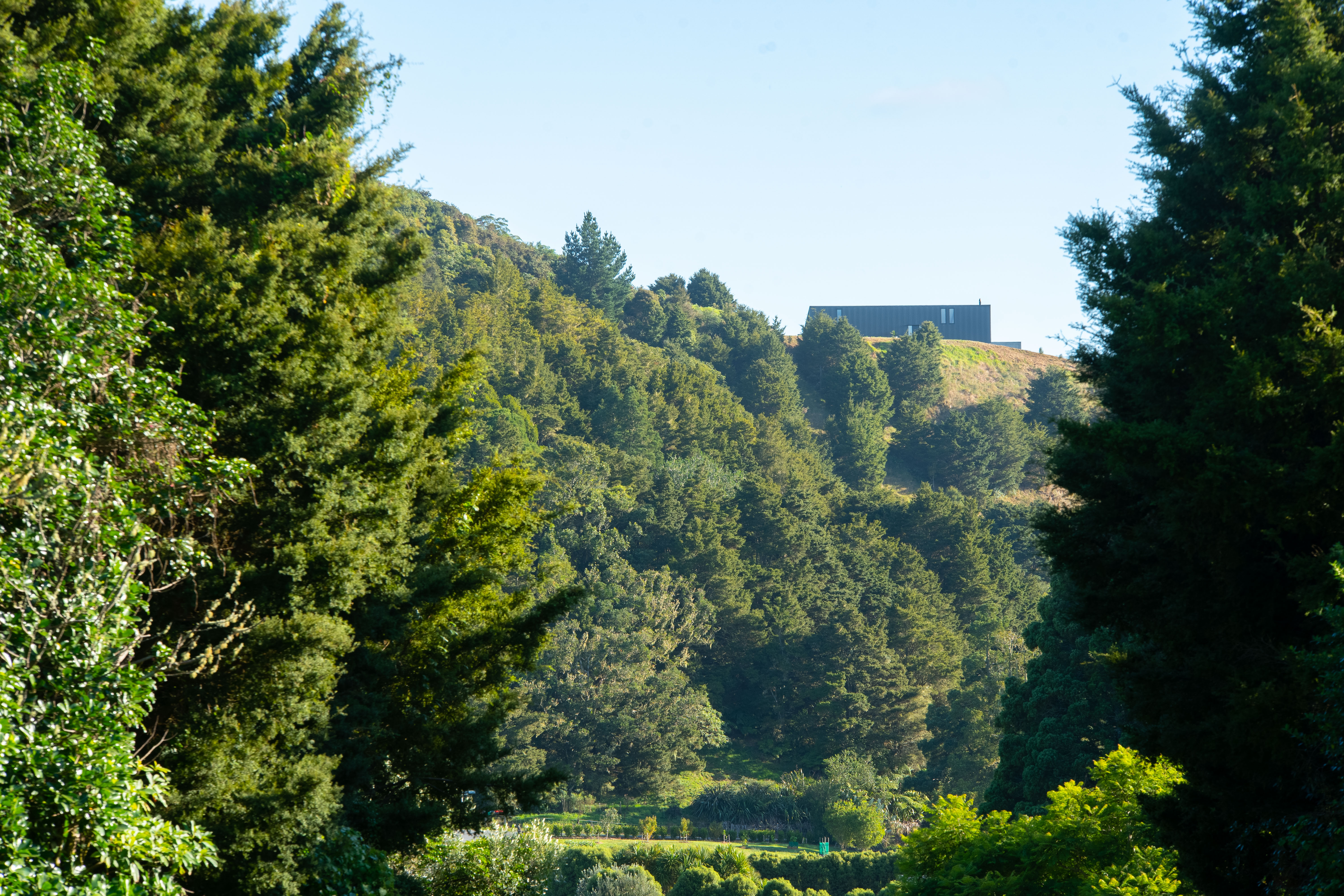 Black Ridge House — Whangarei hillside home